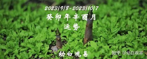 癸卯年辛酉月|20230905